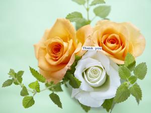 誰もが楽しめるB系ファッション