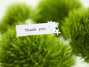 2025年最新版：お米通販で失敗しないための完全ガイドと選び方